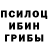 Псилоцибиновые грибы Magic Shrooms snaiper snaiper