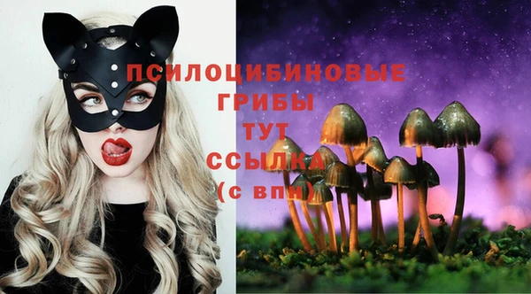 ГАЛЛЮЦИНОГЕННЫЕ ГРИБЫ Арсеньев