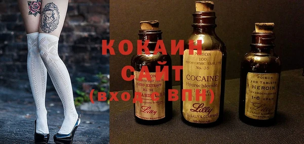 ГАЛЛЮЦИНОГЕННЫЕ ГРИБЫ Арсеньев