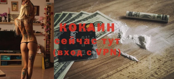 ГАЛЛЮЦИНОГЕННЫЕ ГРИБЫ Арсеньев