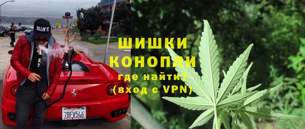 ГАЛЛЮЦИНОГЕННЫЕ ГРИБЫ Арсеньев